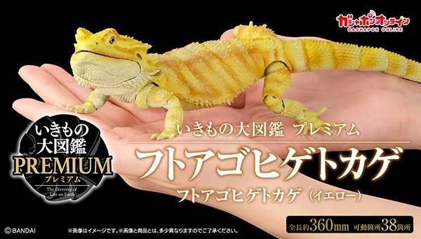 いきもの大図鑑プレミアム フトアゴヒゲトカゲ（レッド） | ナムコ
