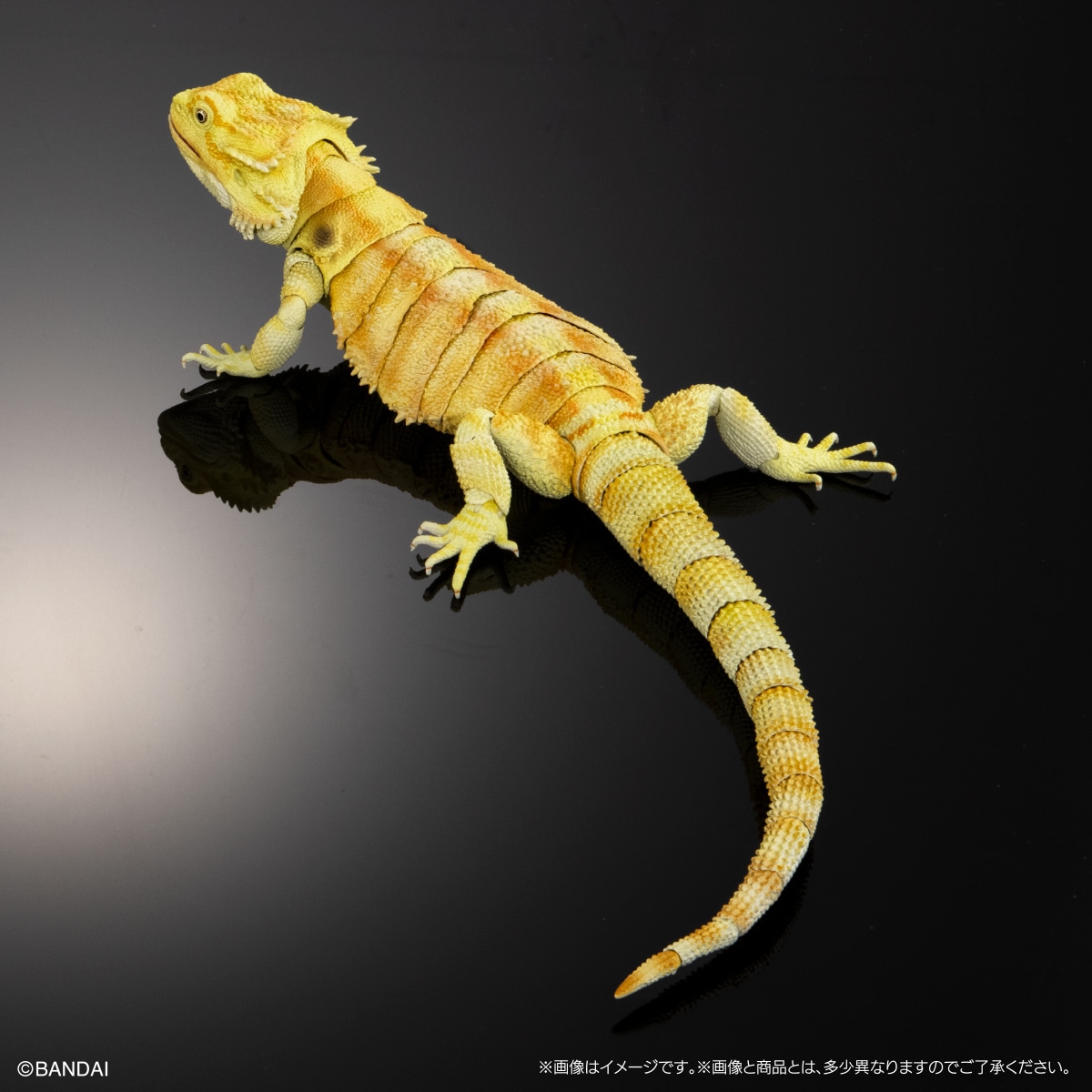 いきもの大図鑑プレミアム フトアゴヒゲトカゲ（イエロー） | ナムコ