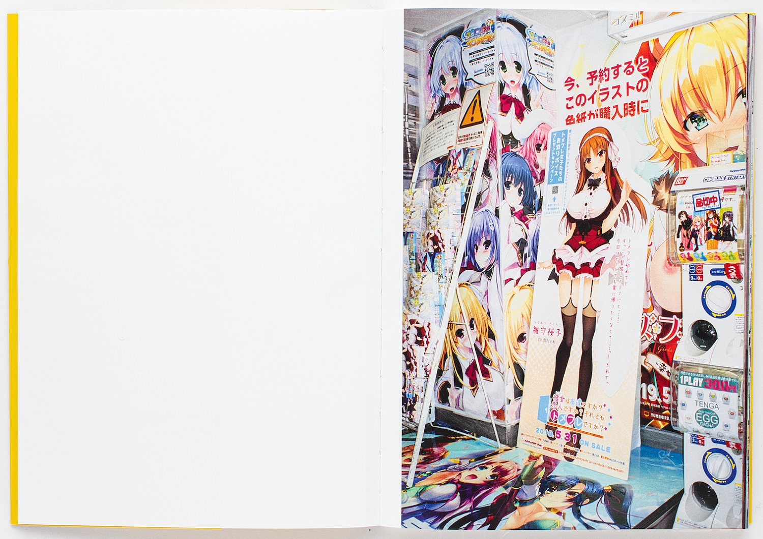 The Imaginary Republic - Pawel Jaszczuk