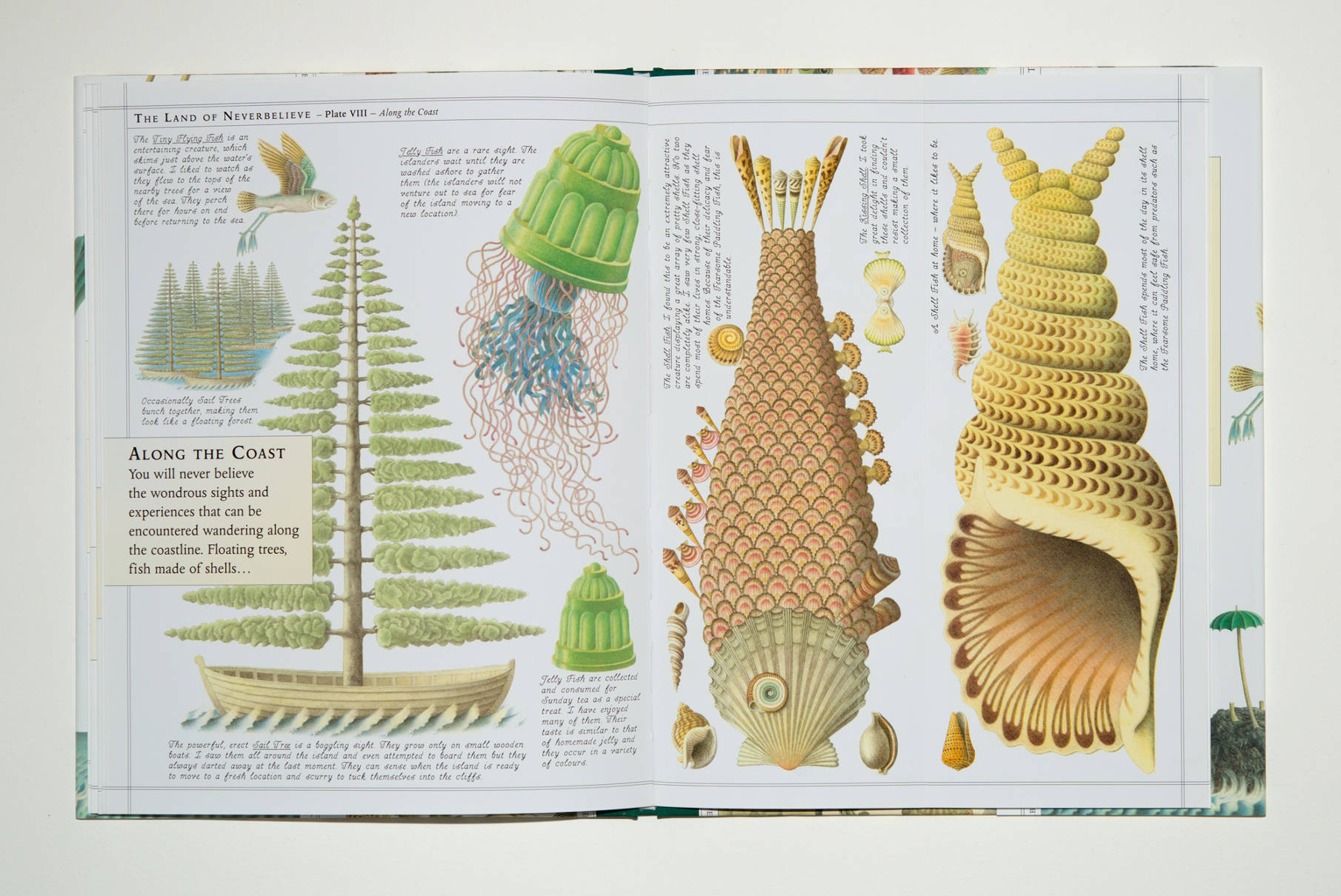 The Land of Neverbelieve - Norman Messenger