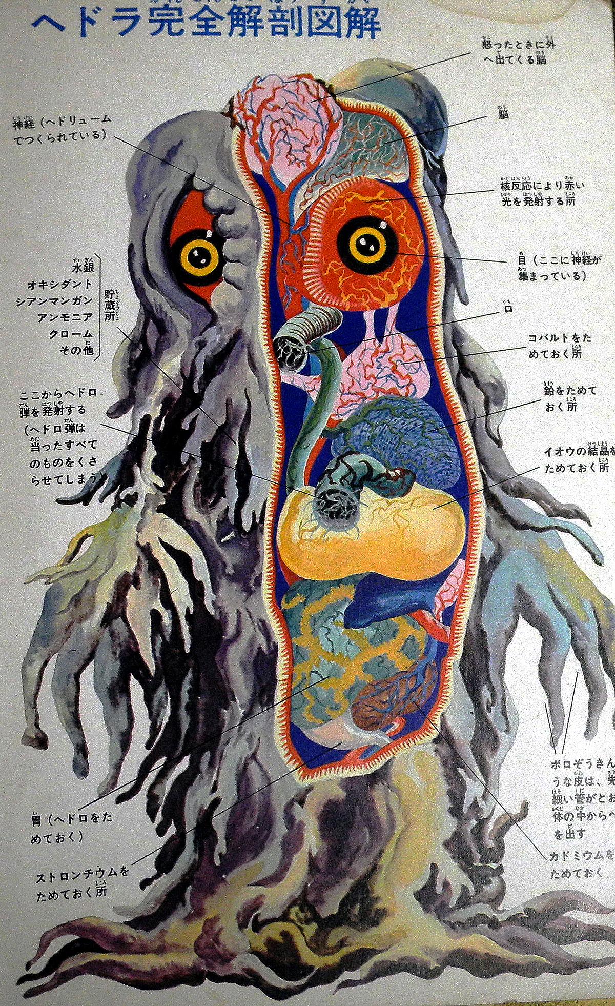 ゴジラ対ヘドラ ゴジラ VINYL WARS ヘドラ 解剖図解 ☆メディコムトイ