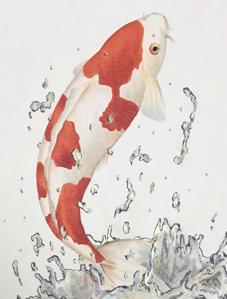 作品紹介第37弾！unknownさん@unknown51562132にコメントをいただき