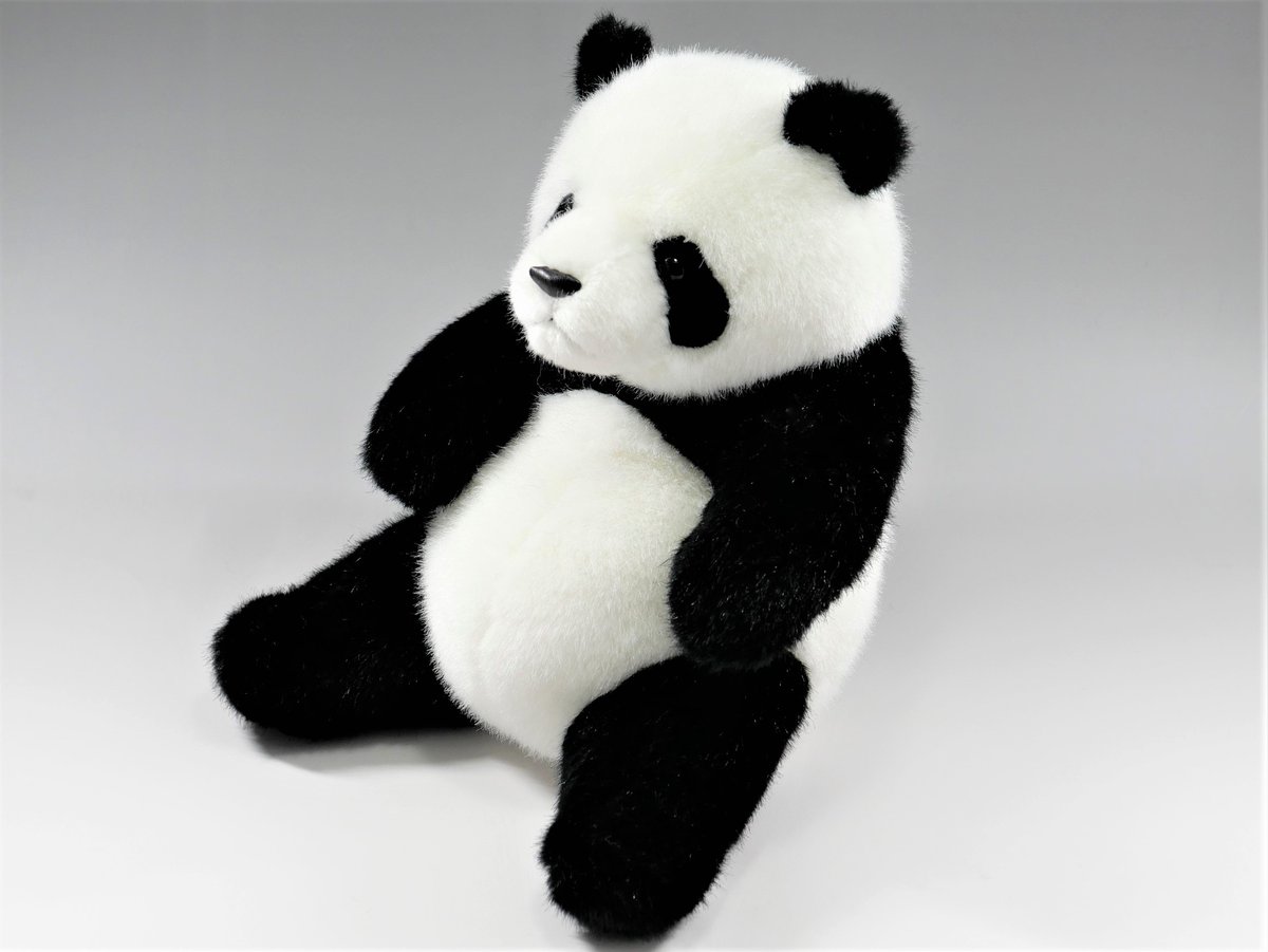 amazon限定販売】 ☆amazon出店記念☆ 特典付き ぬいぐるみ