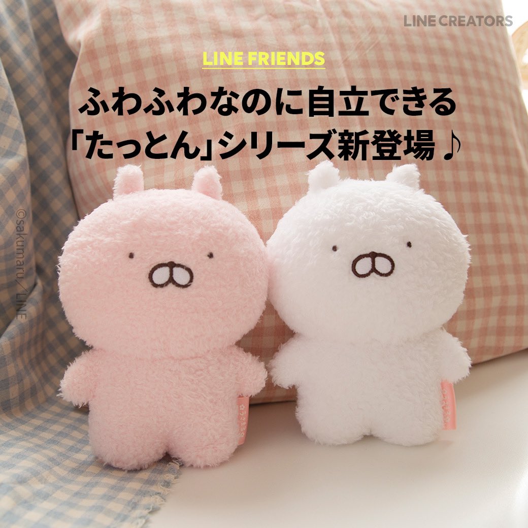 ふわふわ☁️なのに足底をトントン整えるとしっかり両足で自立する