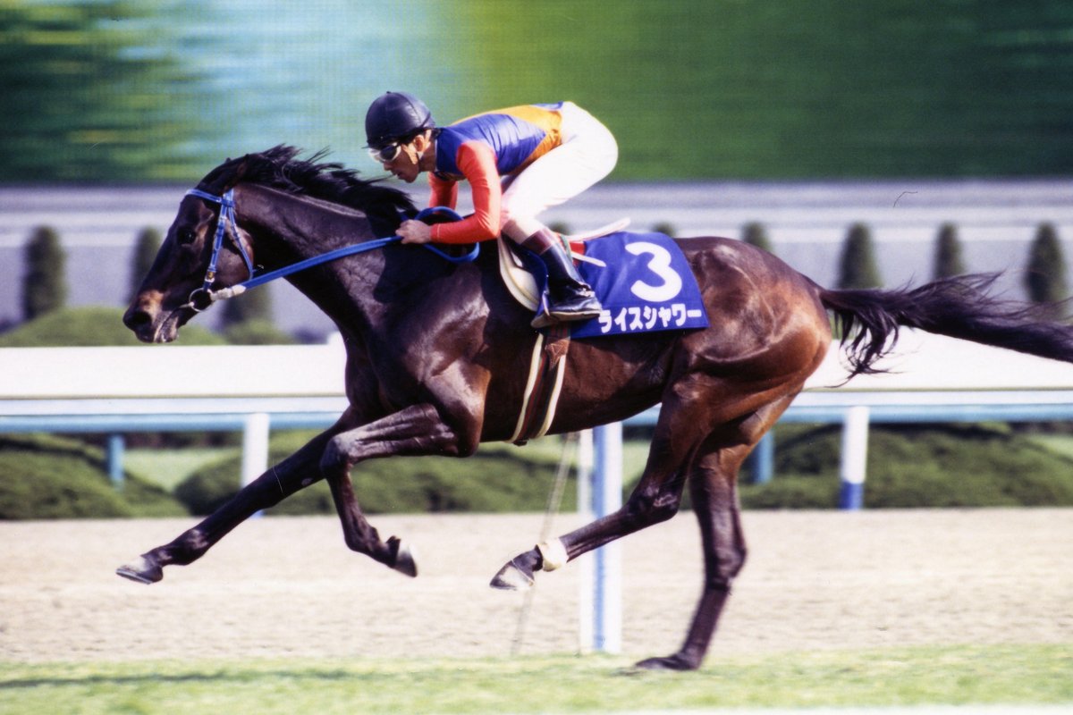 今週は、古馬長距離王決定戦 #天皇賞(春) が行われます。 93年と95年の