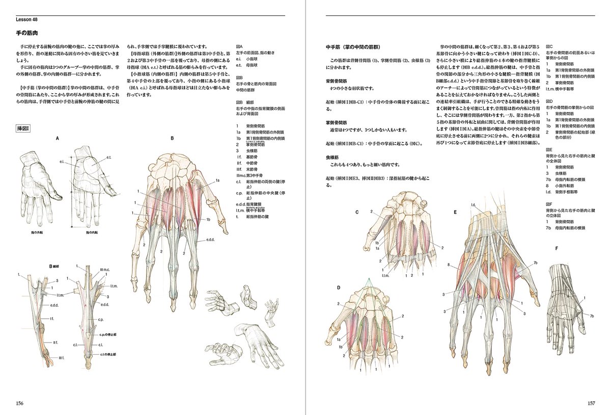 7月新刊⑧ 予約開始！】 『アナトミア 描くための人体の構造』 人体を