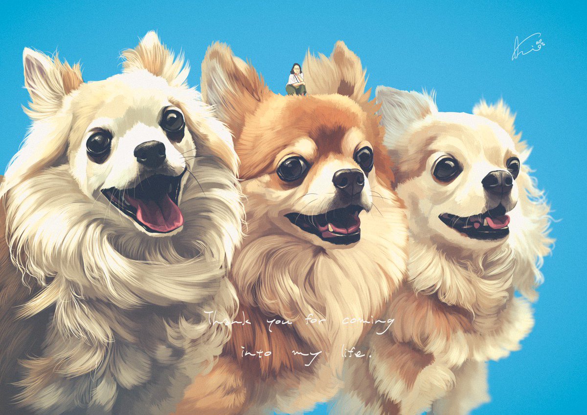 これでフォロワーさん増えました ペットイラストレーターですと公言