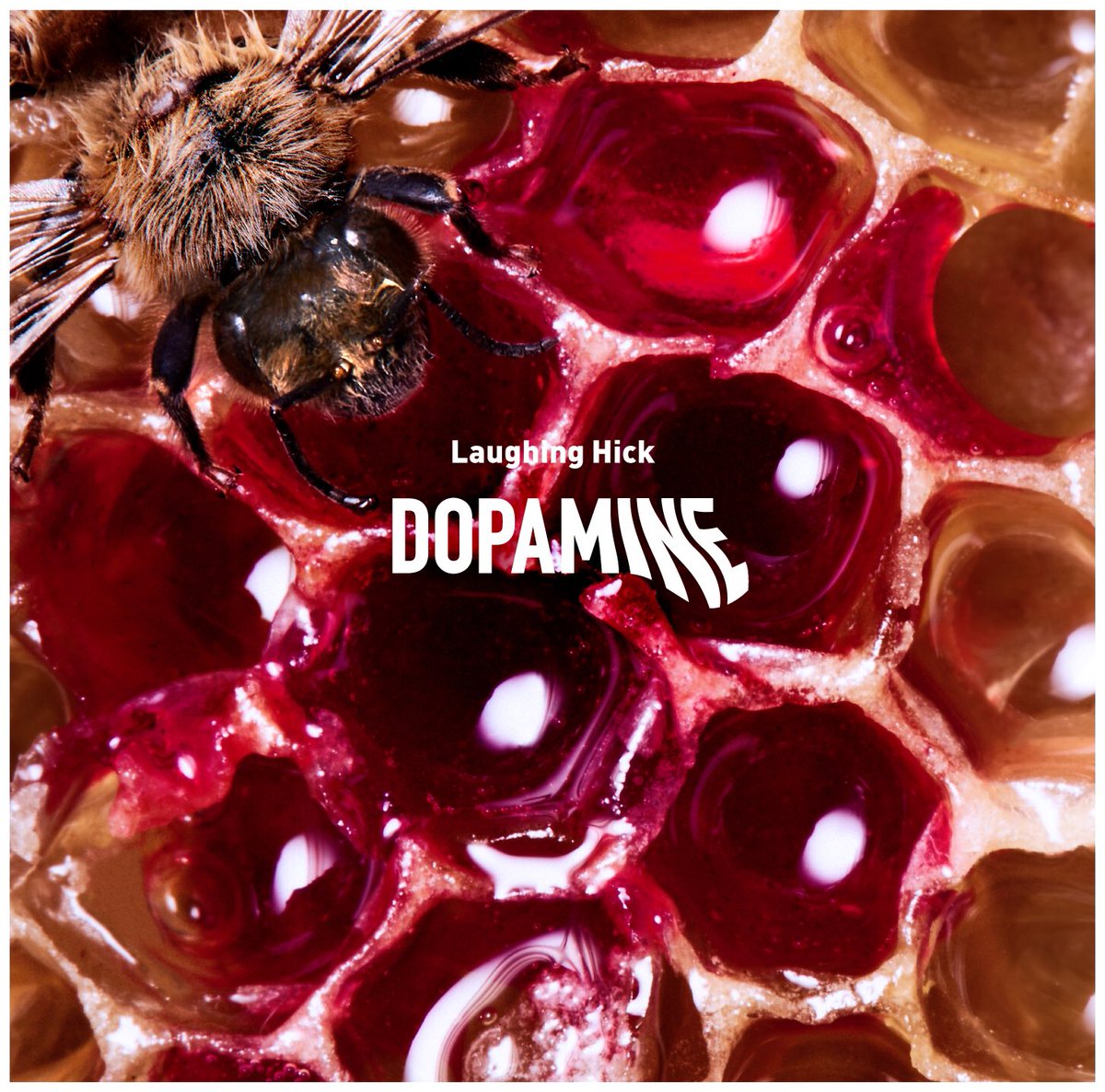 情報解禁🔥 】 12/18 リリース1st album『DOPAMINE』のジャケット