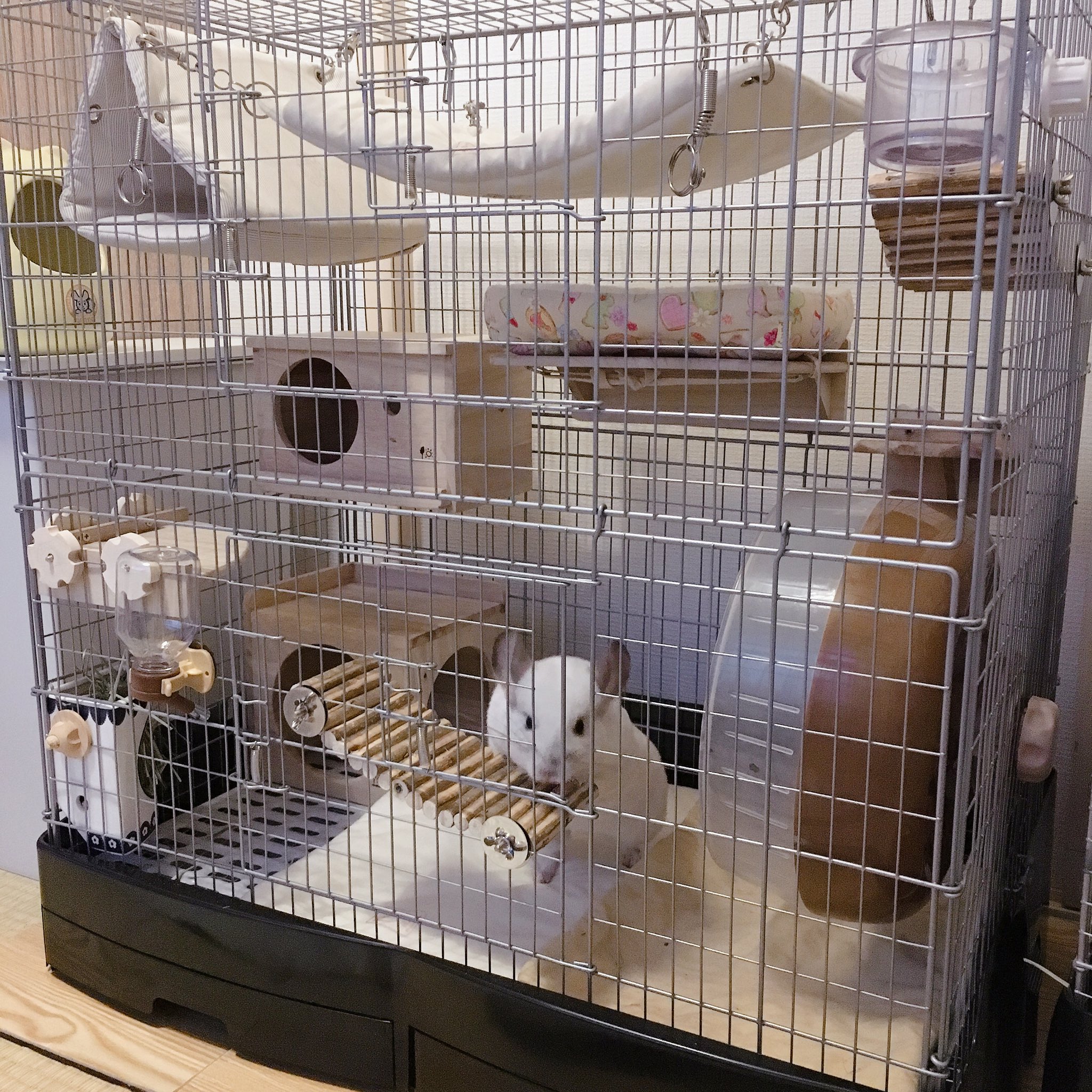 中古 サンコー イージーホーム エボ 80 うさぎ ケージ ゲージ チンチラ