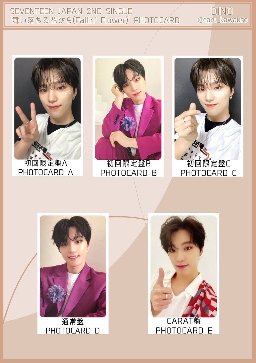 SEVENTEEN セブチ 舞い落ちる花びら スングァン トレカ 本日中お値下げ