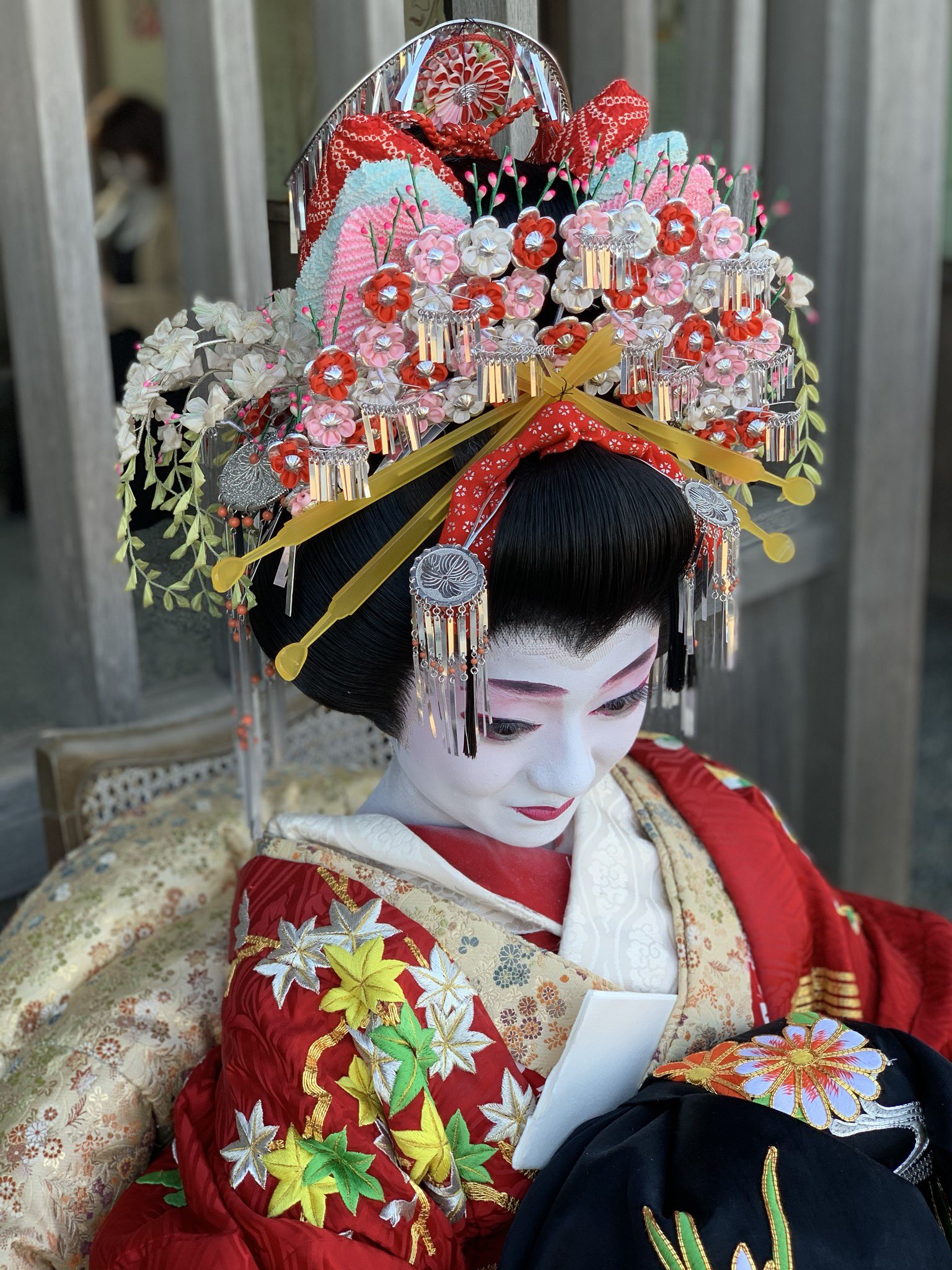 日本髪かつら 大衆演劇かつら 花魁 辰巳9号(大サイズ)自然色 かのこ髷