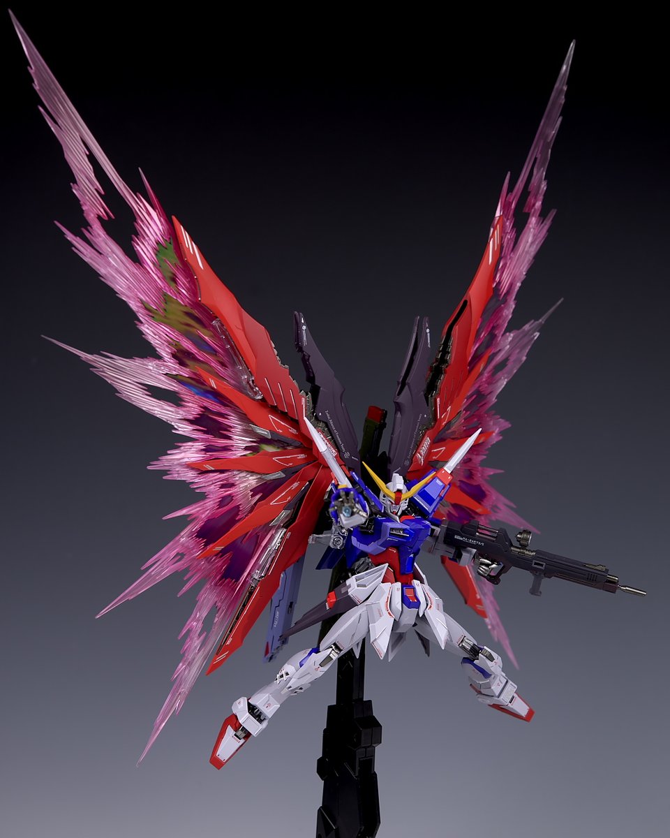 L BUILD 機動戦士ガンダムSEEDDESTINY SOULシリーズ L BUILD 機動戦士