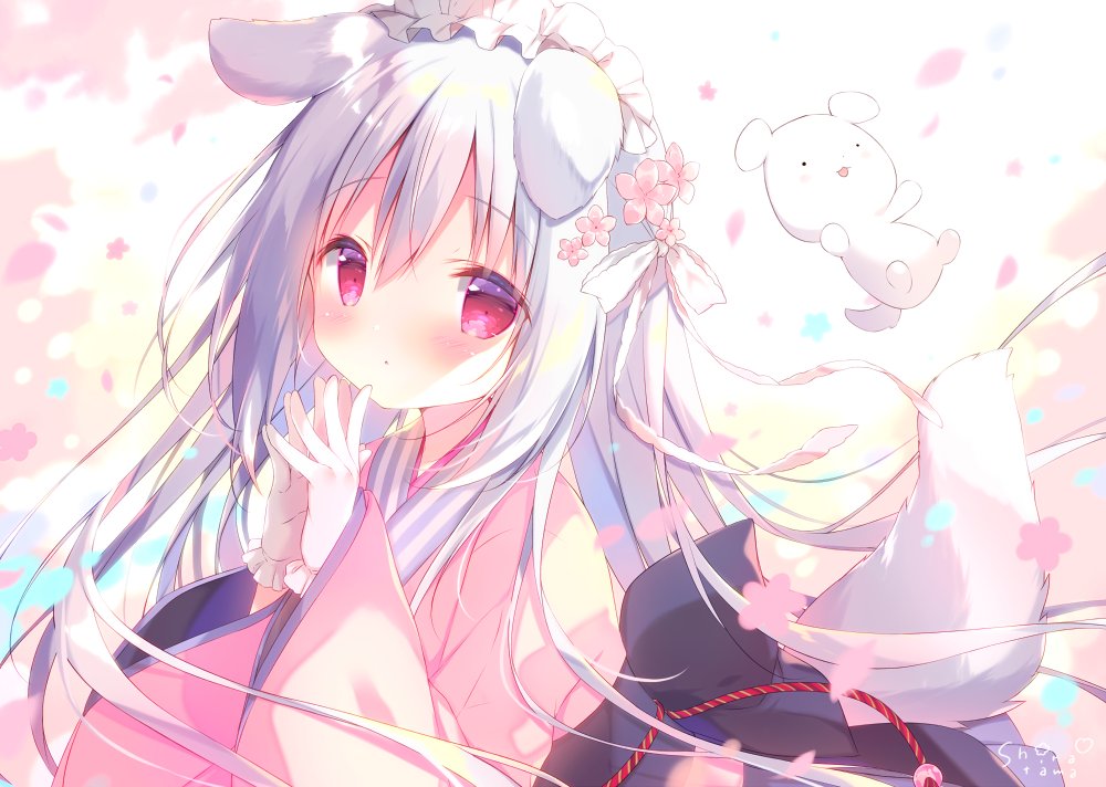 本日12/2はしらたまこ看板犬「しろいいぬ」のお誕生日です🍰🌸お祝いし