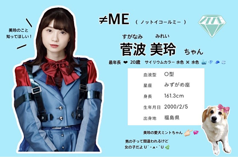 ≠ME 菅波美玲ちゃん のステマシート作りました 🐻‍❄️ 💙 美玲ちゃん