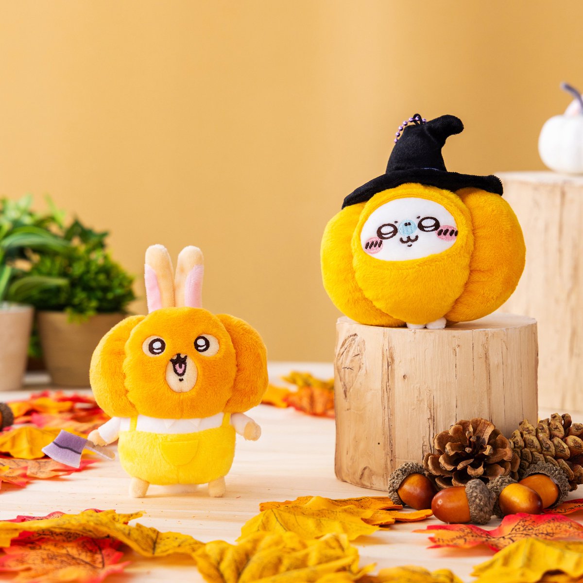 🌼きょう18時からご予約開始🌼 『仮装たのしい～！マスコット