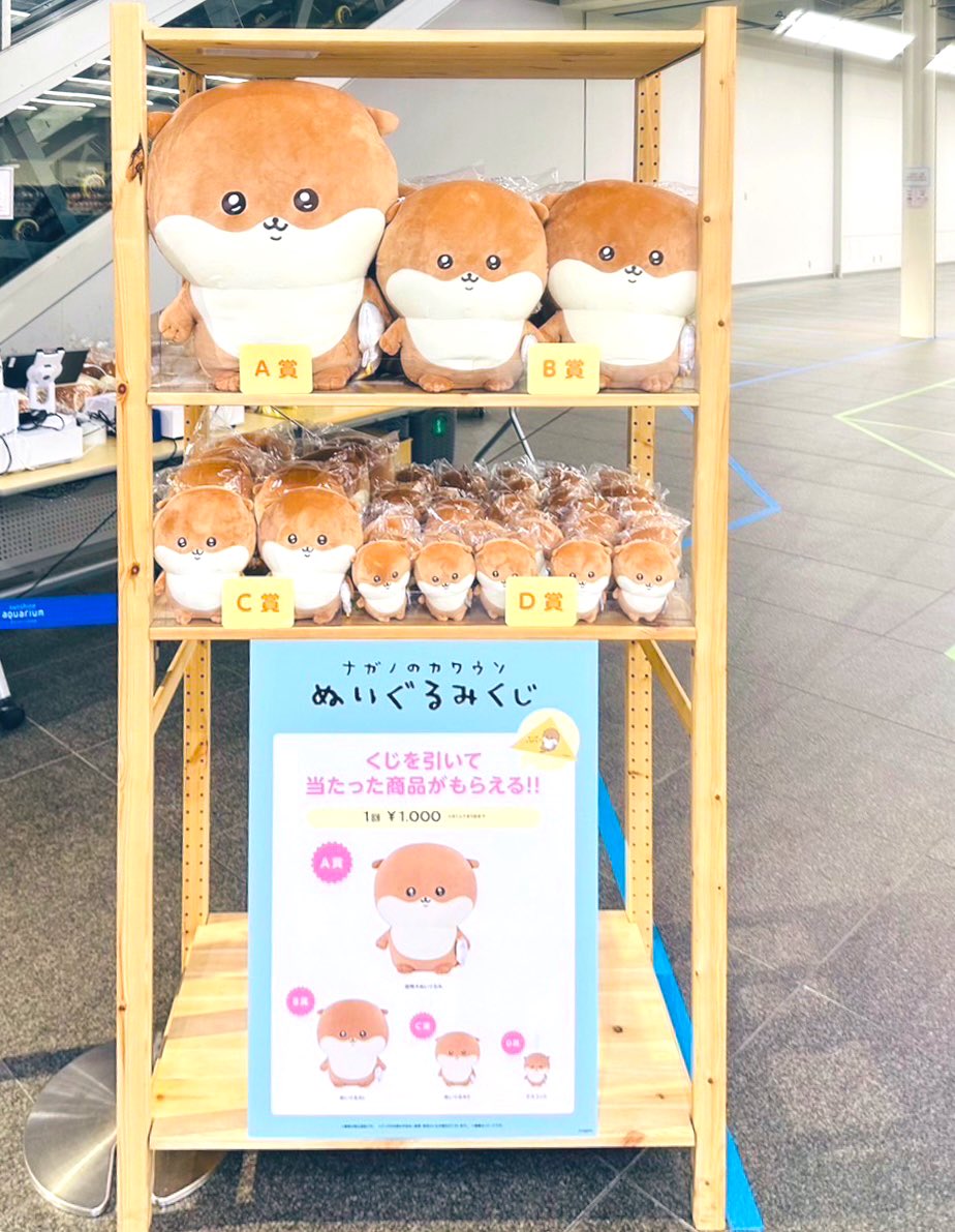 📣本日7/14(金)から／ 〰〰〰〰〰〰 #ナガノのカワウソ ぬいぐるみくじ