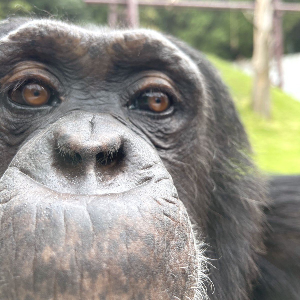 パンくん20歳を記念して📷蔵出し画像を大公開✨ 3歳 デビューの頃 5歳