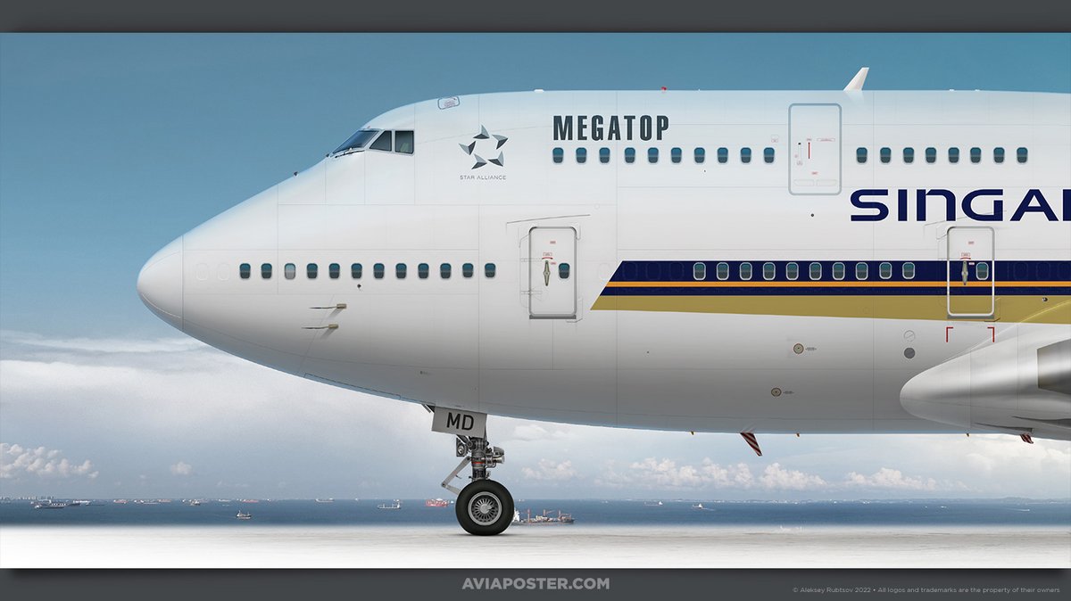 AIRLINES MEGATOP シンガポール　SINGAPORE