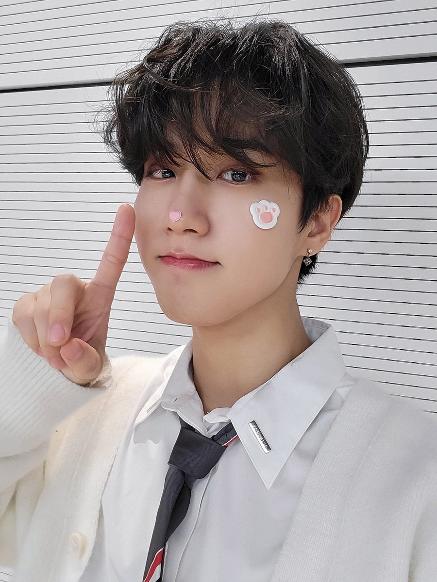 STAY！ にゃんこたちのメッセージはいかがでしたか？😸 すべての