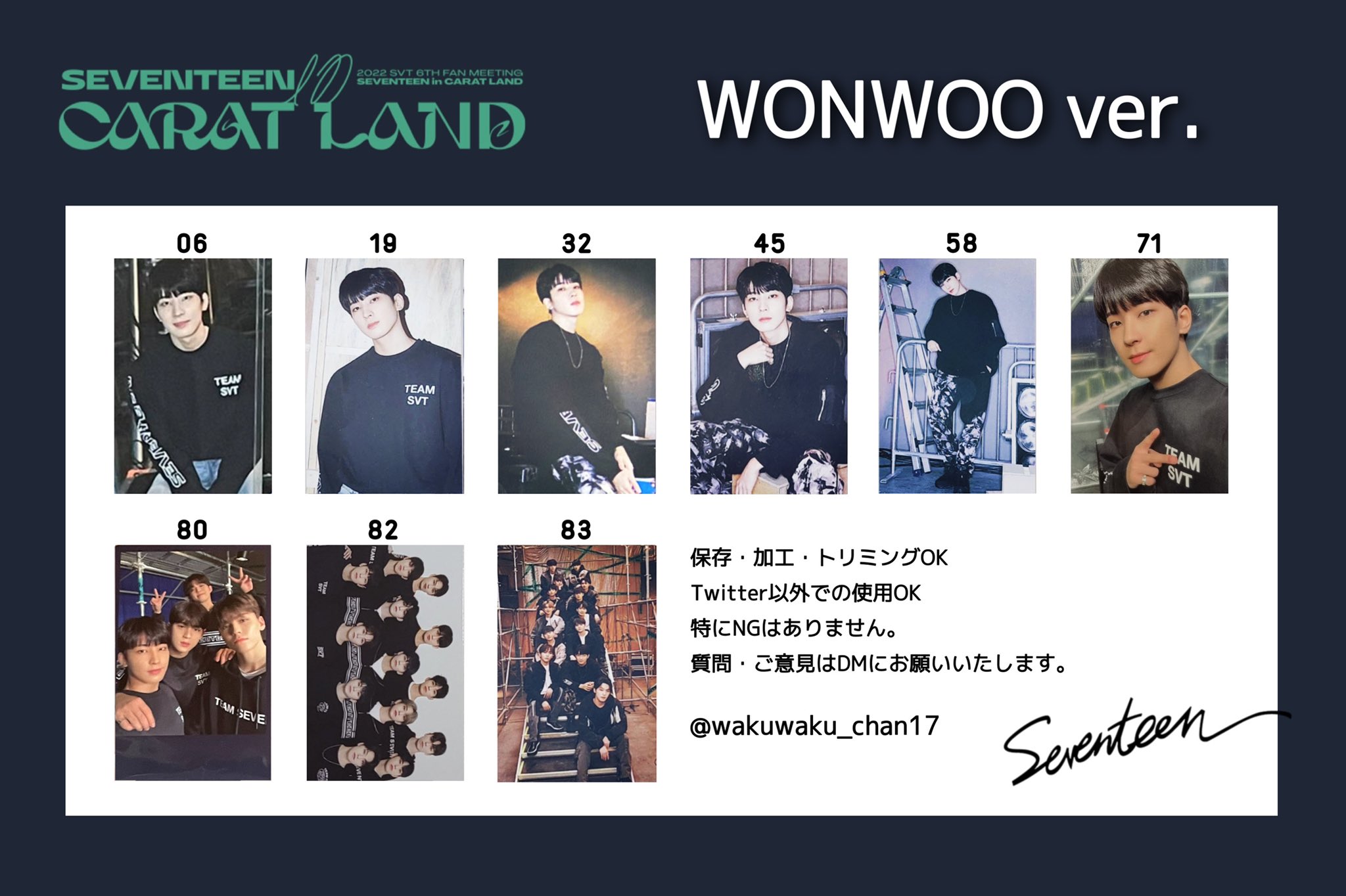 SEVENTEEN 2019 carat land セブチ トレカ ウォヌ SEVENTEEN セブチ