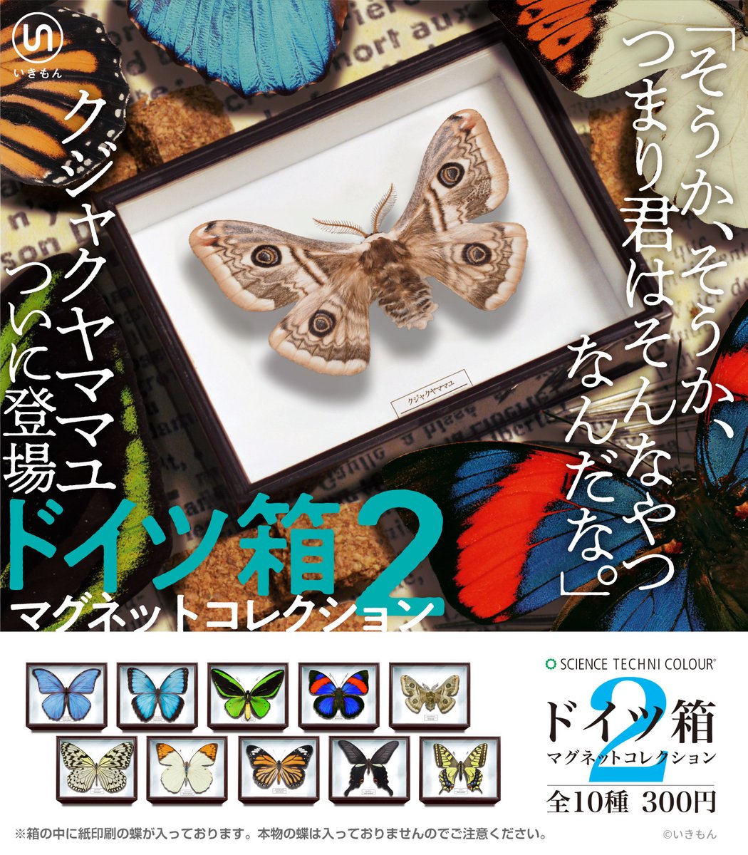 新商品】 4月からの延期でお待たせしました。ドイツ箱マグネット