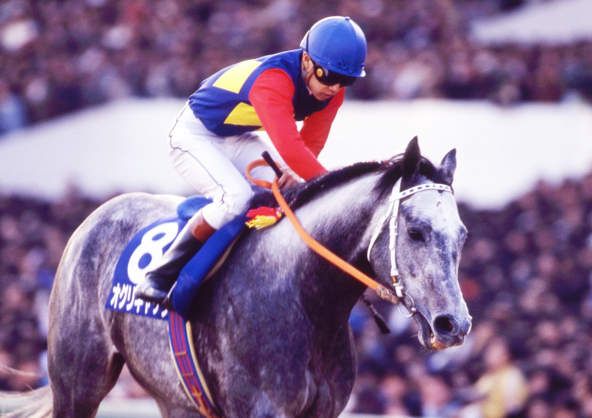 地方競馬出身ながら中央競馬でG1を4勝した #オグリキャップ 。 今日7月