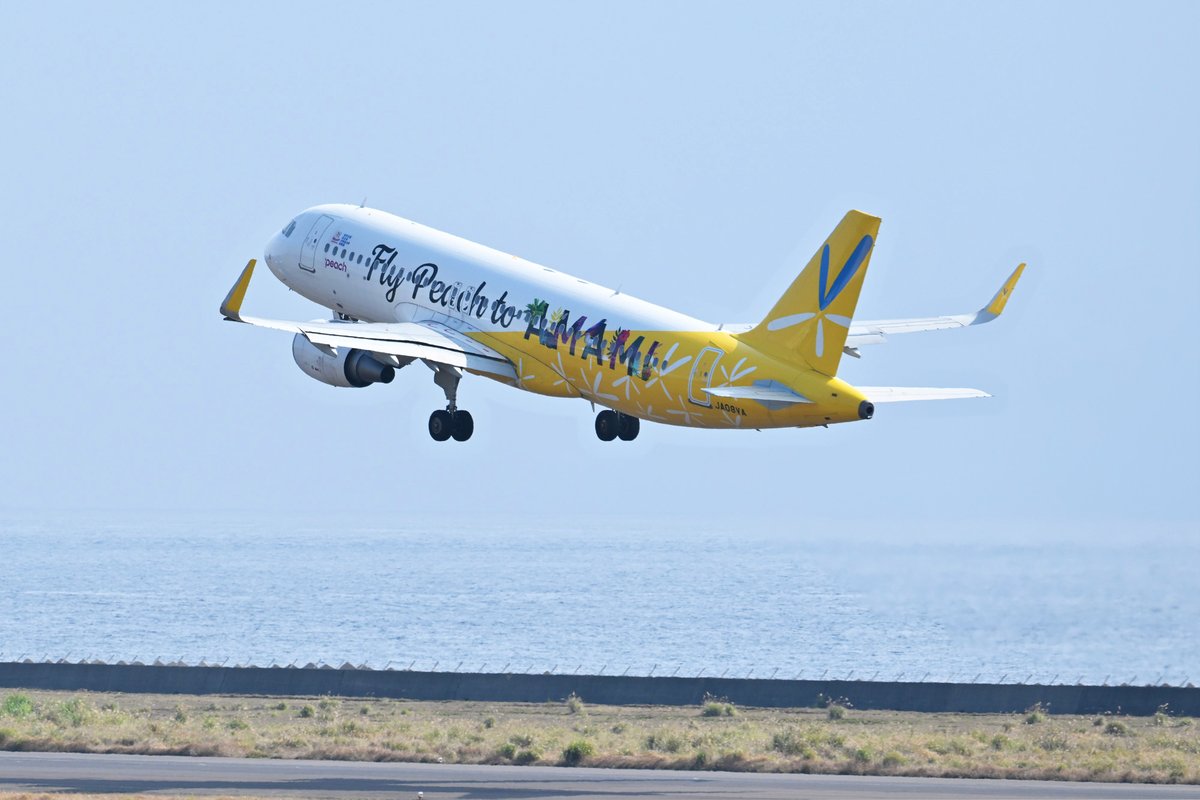 ✈️特別塗装機 #JA08VA が、 まもなくPeachの元から旅立ちます