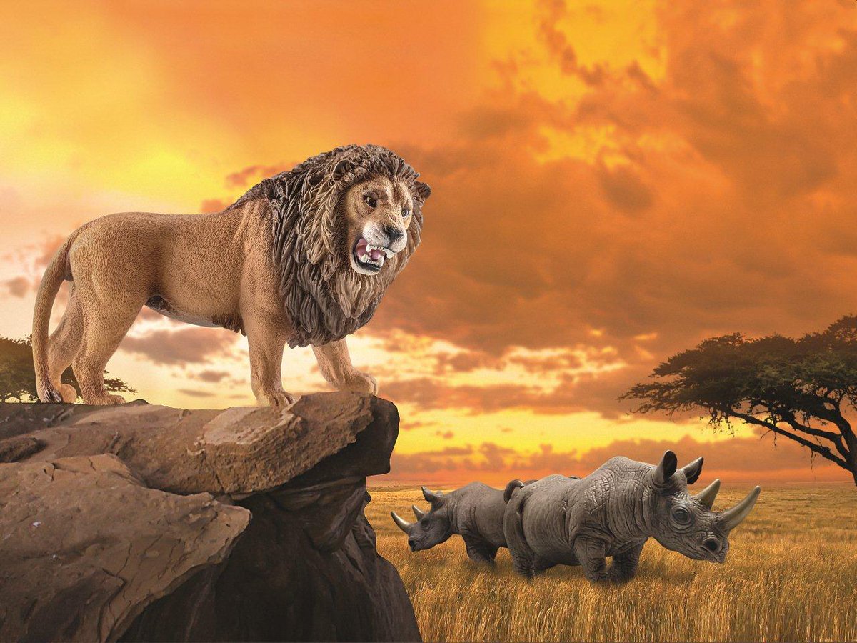 リニューアルしたライオン（オス）です。 たくましく吠える姿が