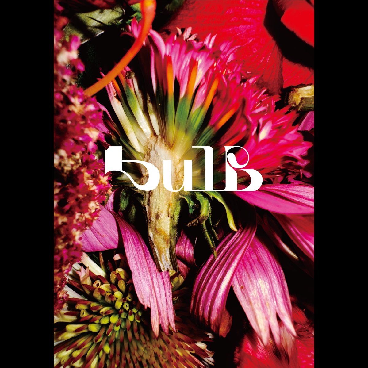 ⋰ 本日は 兵庫・神戸国際会館こくさいホール ＼⋱ OPEN16:00／START17