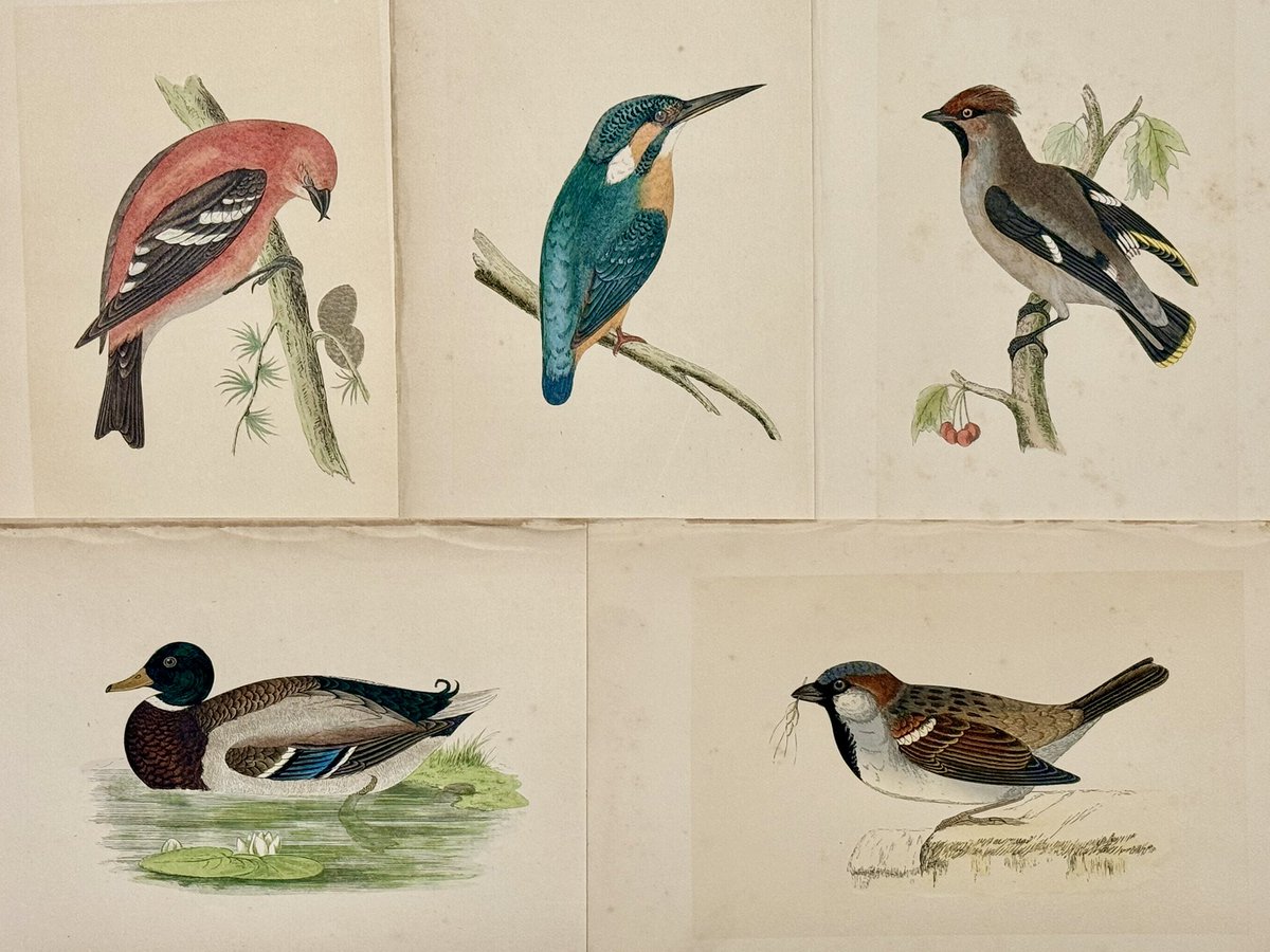 油絵 ロンロンロン 鳥の家族のティータイム 油絵 ロンロンロン 鳥の