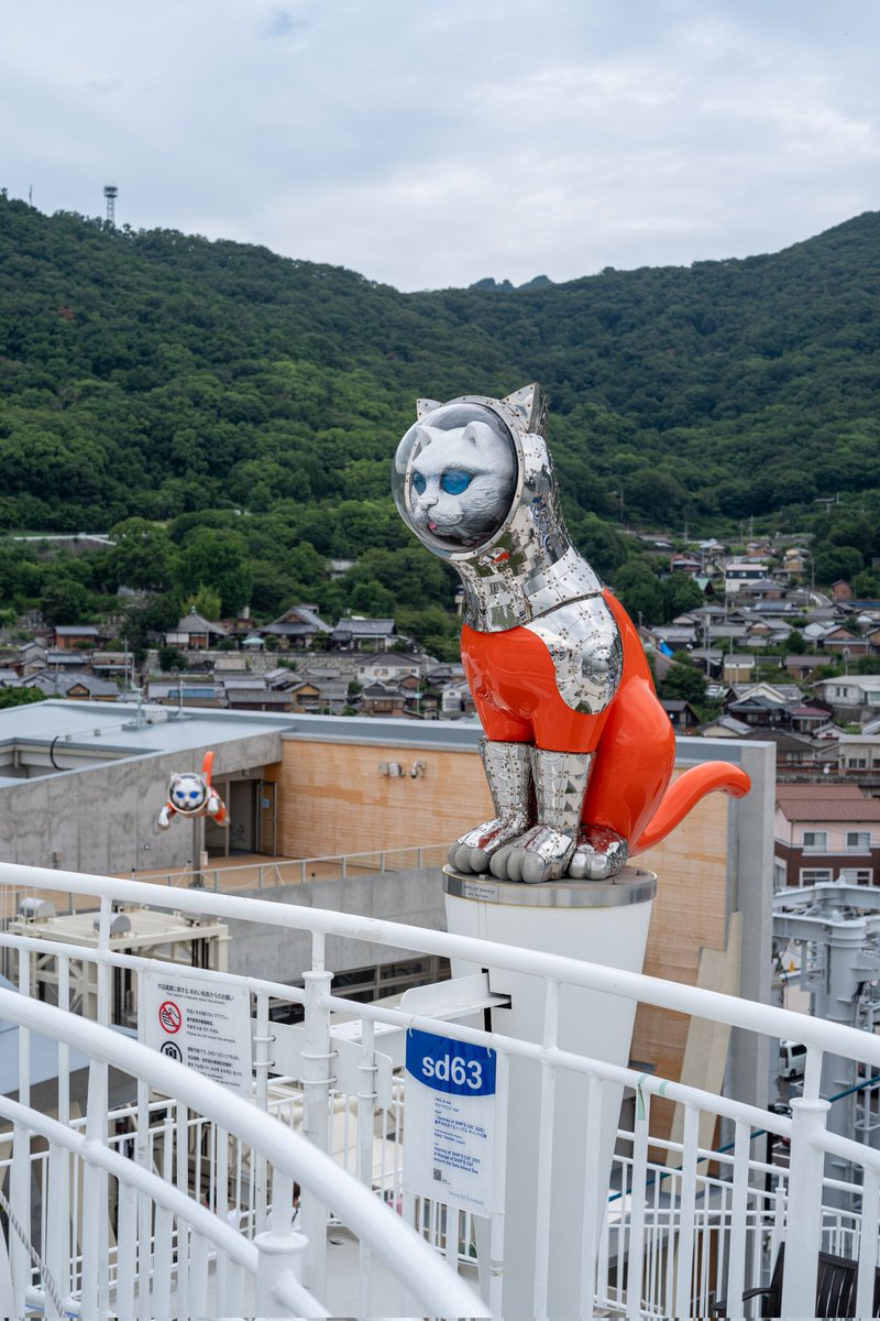 マーケットのニャ術師 2026年最新】マーケットのニャ術師の人気