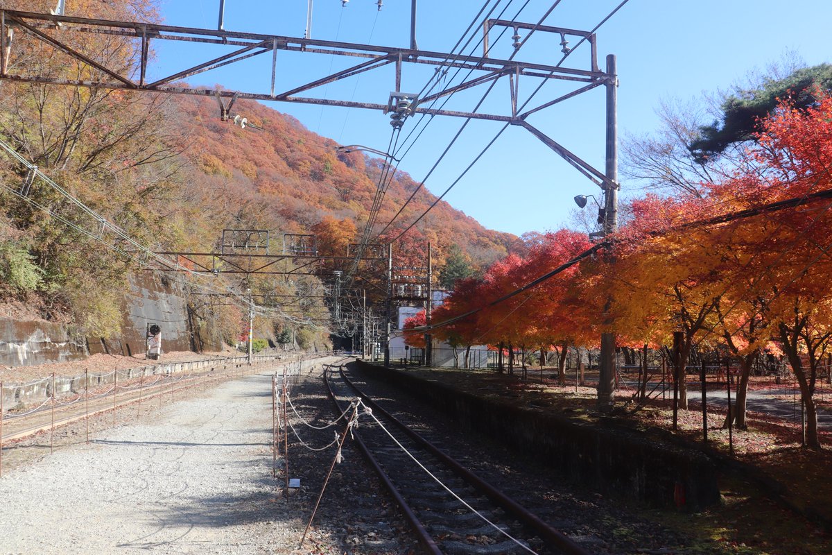 F10号です。碓氷峠で発見した、紅葉。特注額です。 F10号です。碓氷峠