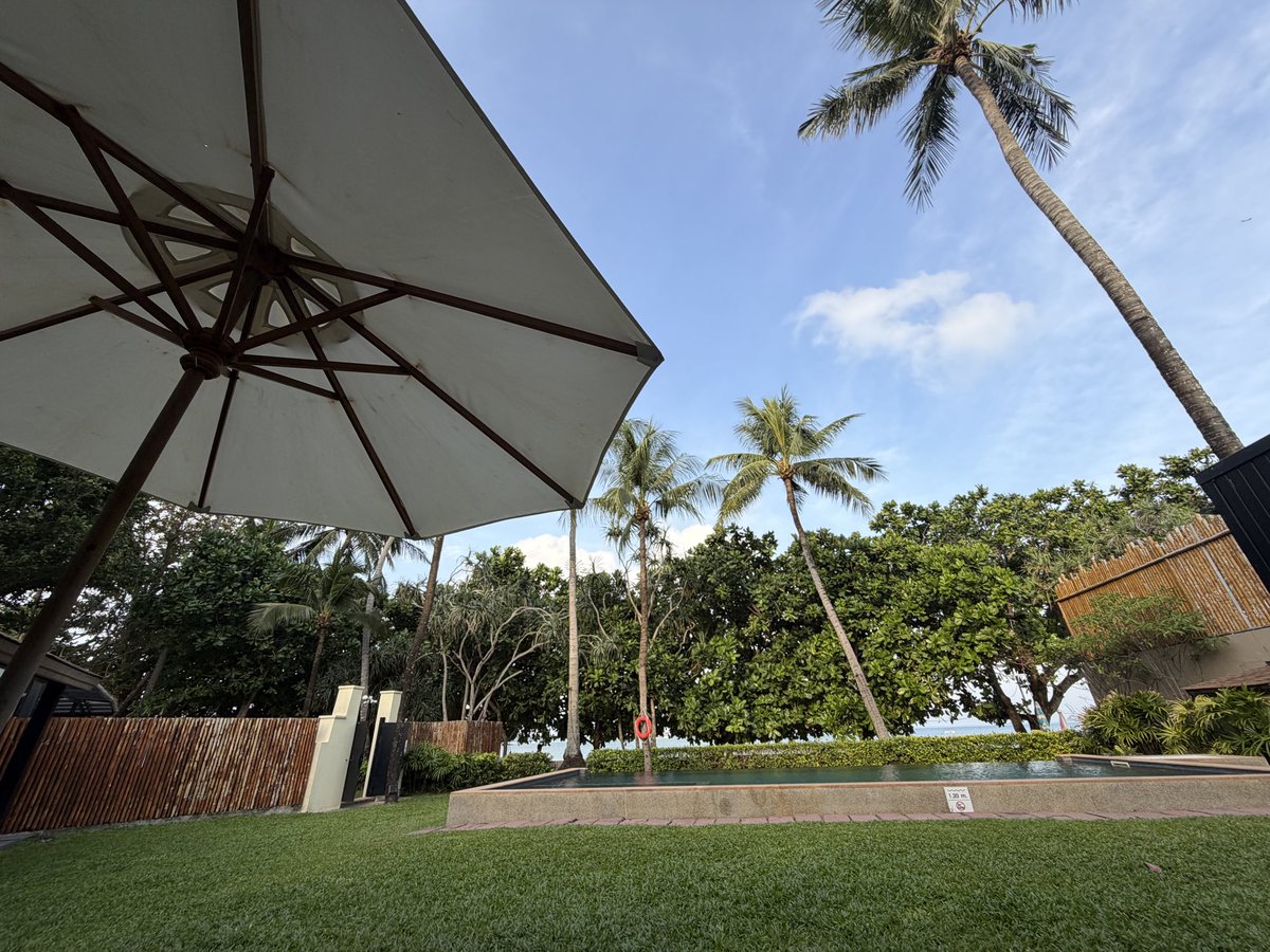 モコナ (@MokonaF57) / Posts / X