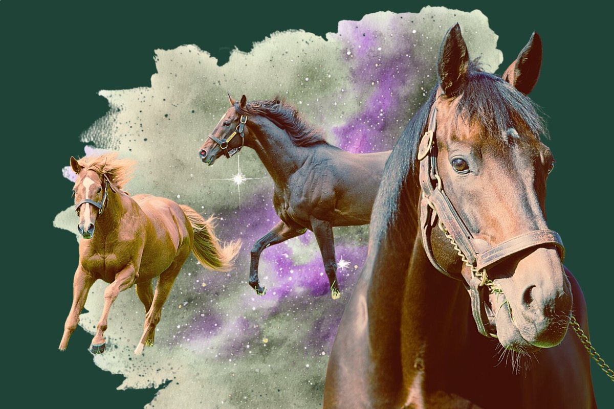 スタリオンズ2021エピファネイヤ キズナ オルフェーヴル キタサン