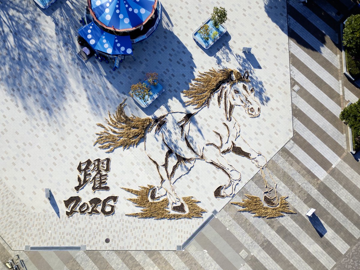 国営ひたち海浜公園 の巨大地上絵 ぜひ大観覧車に乗って迫力ある作品を