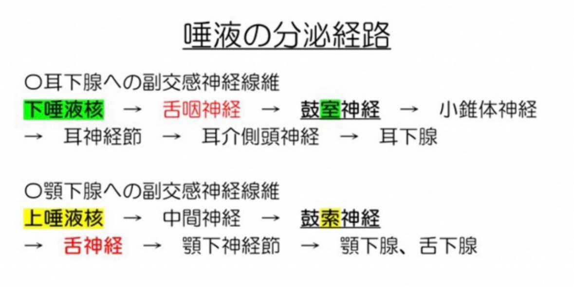 残1 119回歯科医師国家試験対策 パート1&2 残1 119回歯科医師国家試験