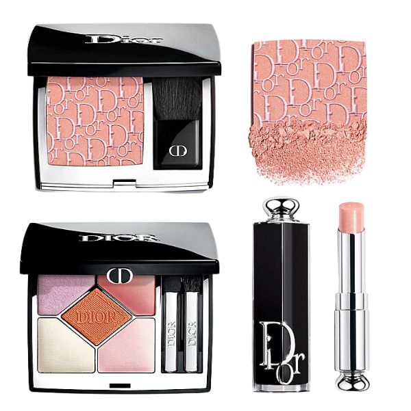 明日発売／ ディオール(DIOR)／展開店舗限定色 ・ディオールスキン