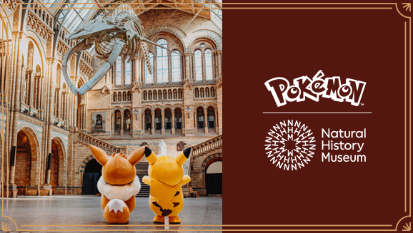 Pikachu at the Museum ピカチュウ ロンドン自然史博物館13 Exclusive