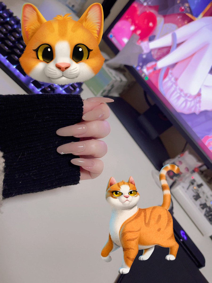 にゃん汰。🩸🐾 (@07nyanta13) / Posts / X