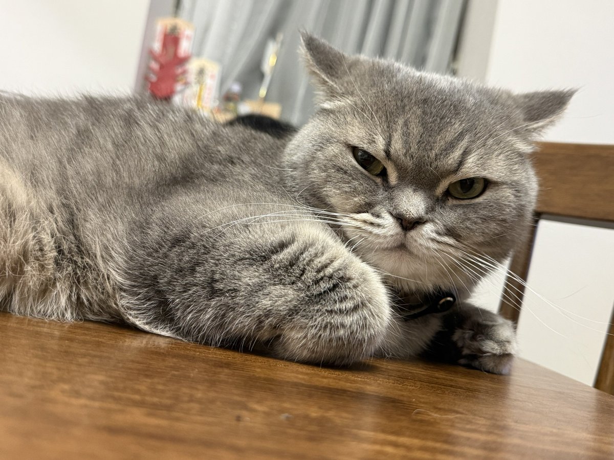 いわし先生 (@IWASHI_0723) / Posts / X