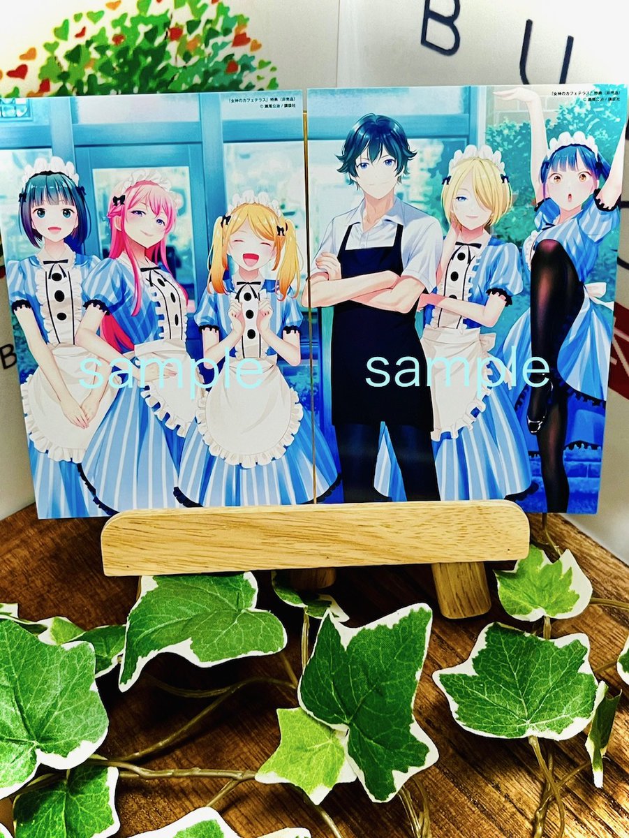 女神のカフェテラス 全巻 特装版 イラストカード 全22巻 女神のカフェ