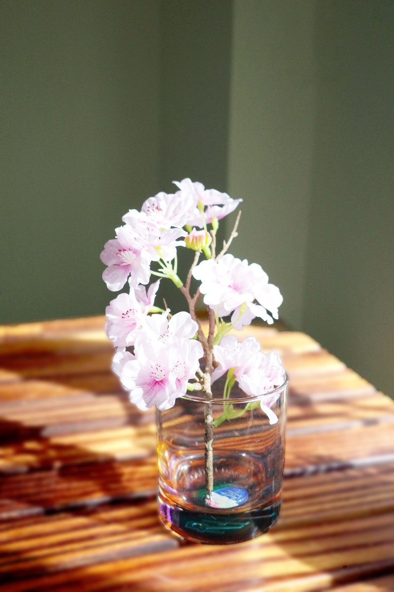 2025年11月19日リリース‼️🎊 #サザンオールスターズ Blu-ray & DVD