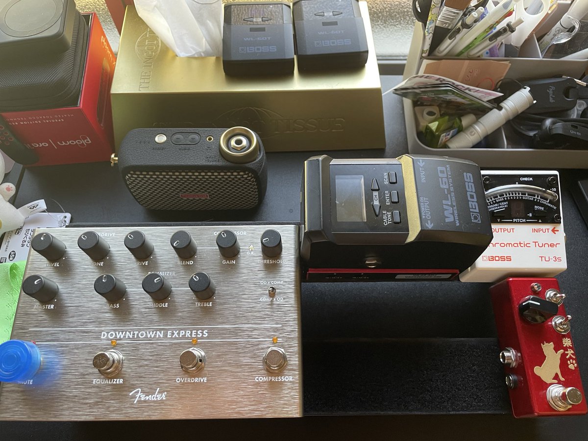 かもめ CE Preamp フットスイッチあり TA.effects かもめ様 専用 CE