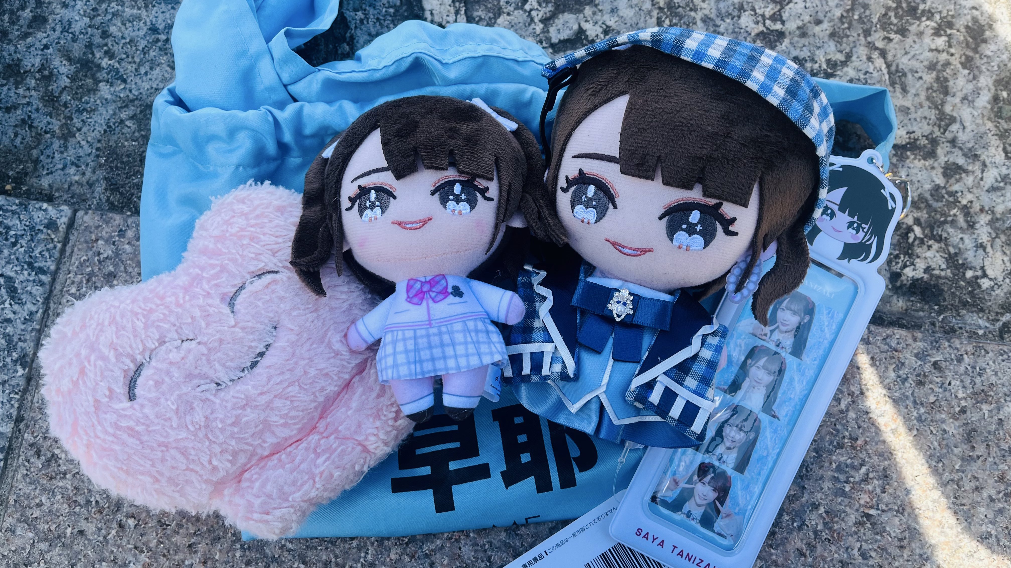 谷崎早耶 プロデュースグッズ さやうさ ぬいぐるみキーホルダー たに