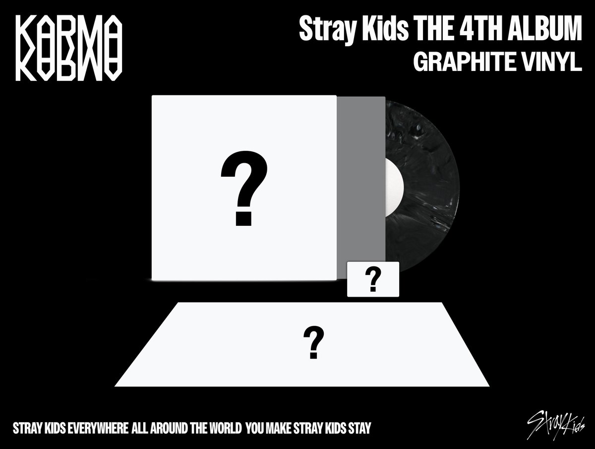 Stray Kids(스트레이 키즈) 