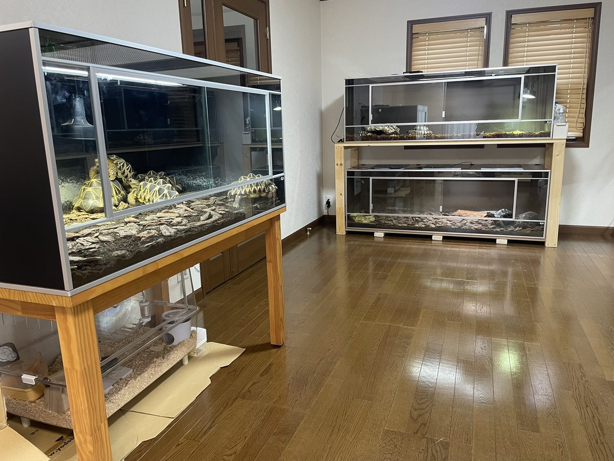 そら 龍匠 ガラス飼育ケージ そら 龍匠 ガラス飼育ケージ 龍匠ケージ