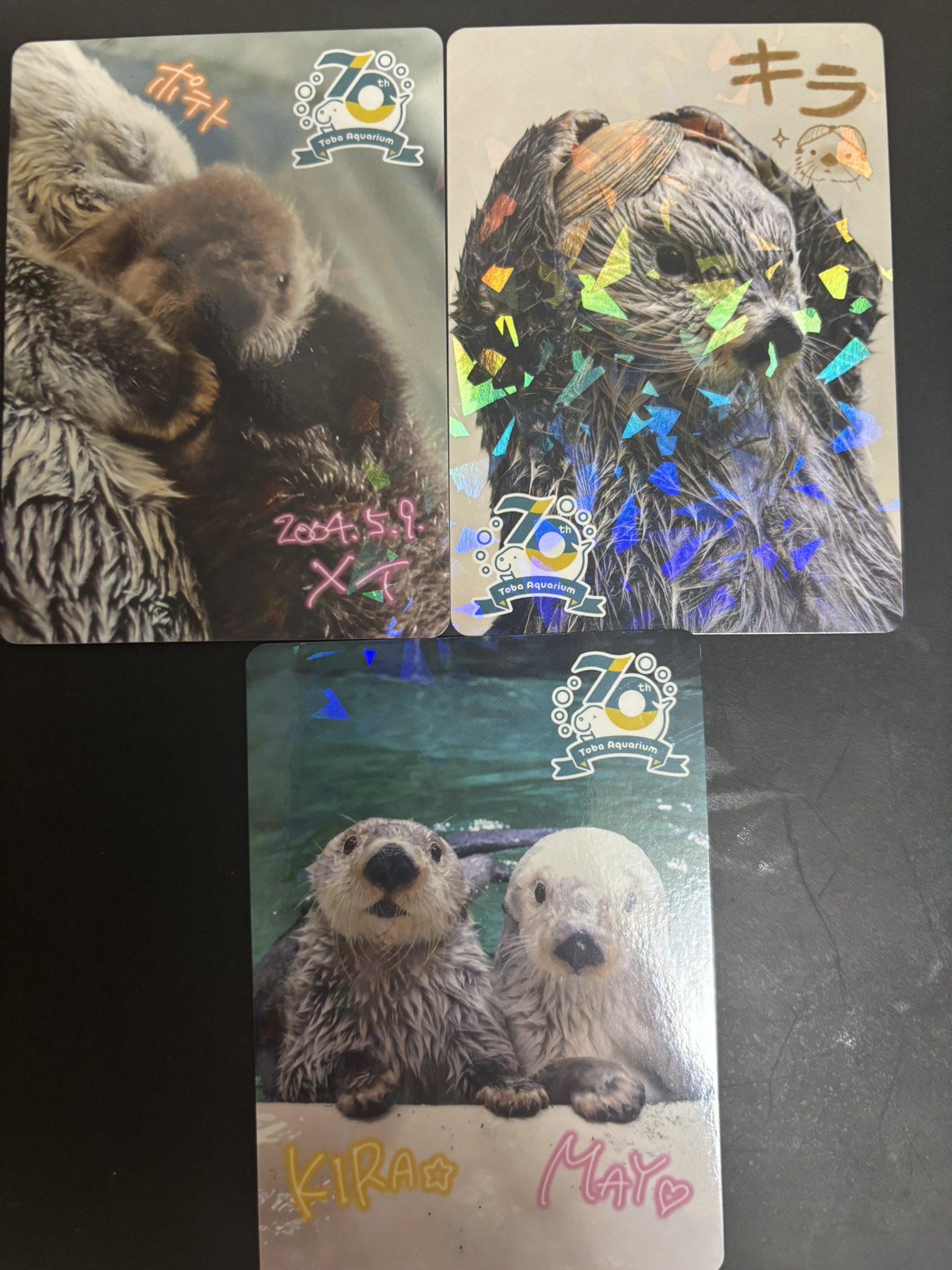 鳥羽水族館 コレクションカード メイちゃんとポテト他4枚セット 鳥羽