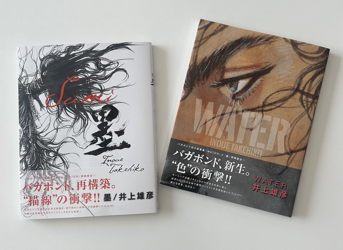 『墨』『WATER』『井上雄彦ぴあ』収納BOXセット バガボンド画集