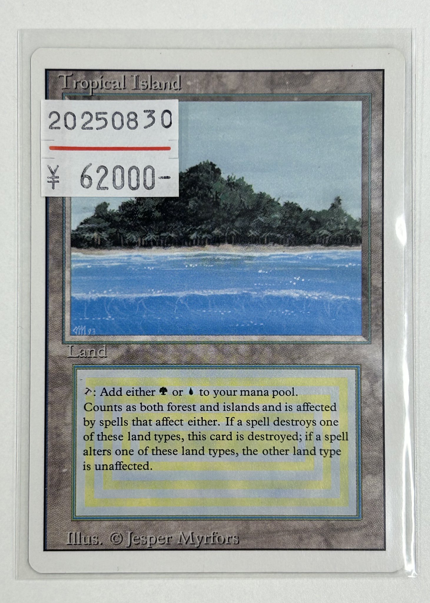 マジック：ザ・ギャザリング Tropical [3ED] マジック：ザ