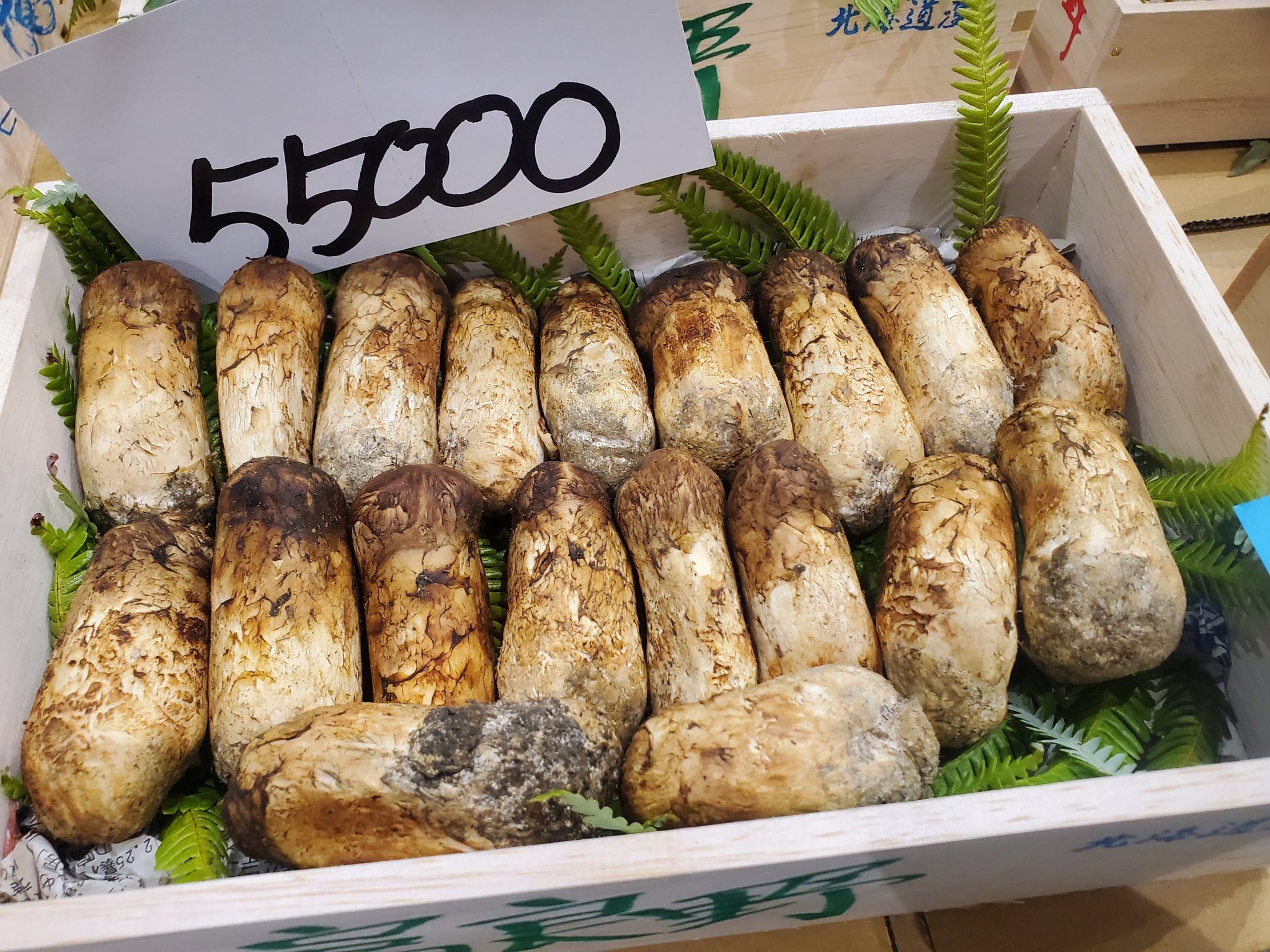 松茸 北海道 400g ① 国産 北海道 松茸 400g ④ 【公式通販】